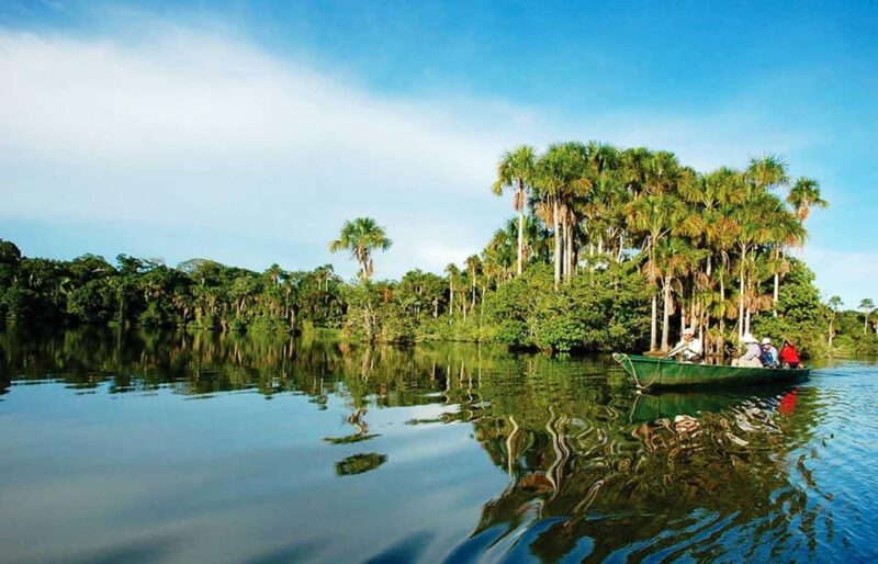 From Puerto Maldonado: 4-Day Excursion /wildlifesearch - Wildlife and Nature Experiences