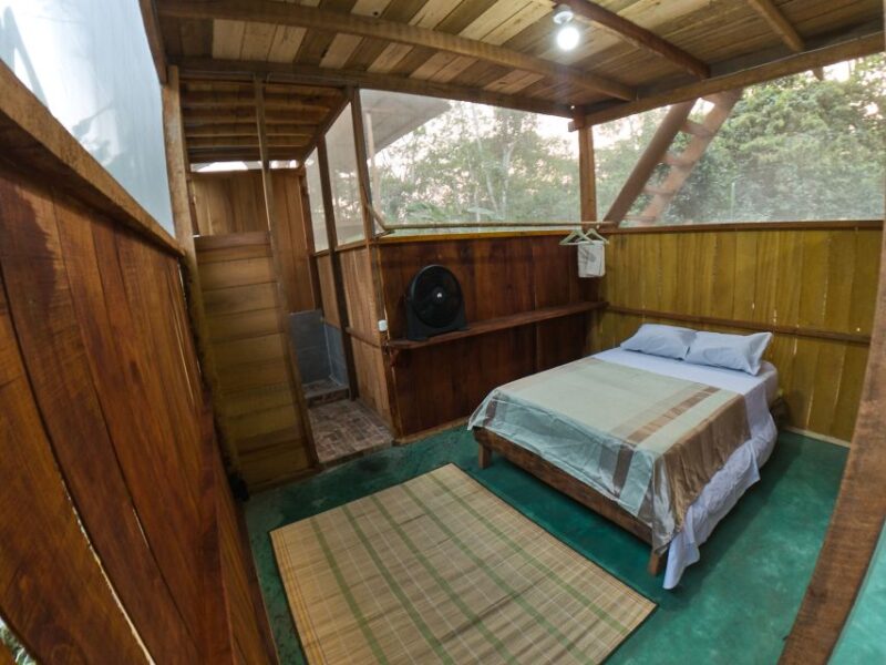 From Puerto Maldonado: 4-Day Excursion /wildlifesearch - Key Points