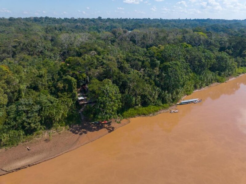 From Puerto Maldonado: 4-Day Excursion /wildlifesearch - Accommodation and Amenities