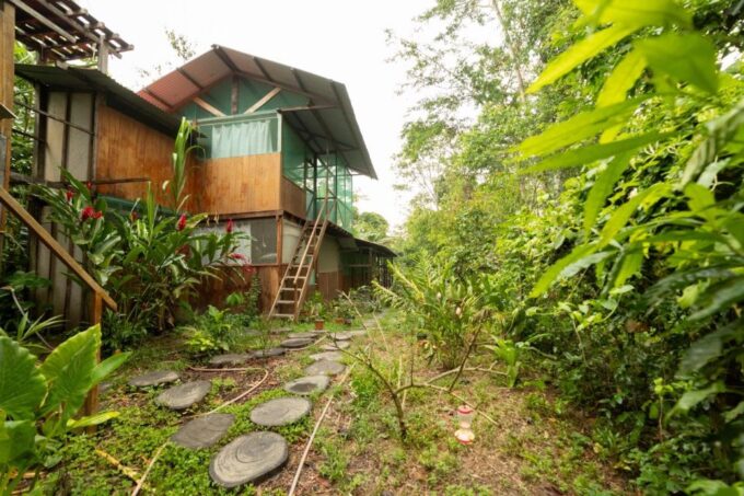 From Puerto Maldonado: 4-Day Excursion /wildlifesearch - Customer Feedback