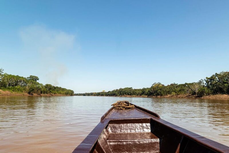 From Puerto Maldonado: 4-Day Excursion /wildlifesearch - Itinerary Highlights