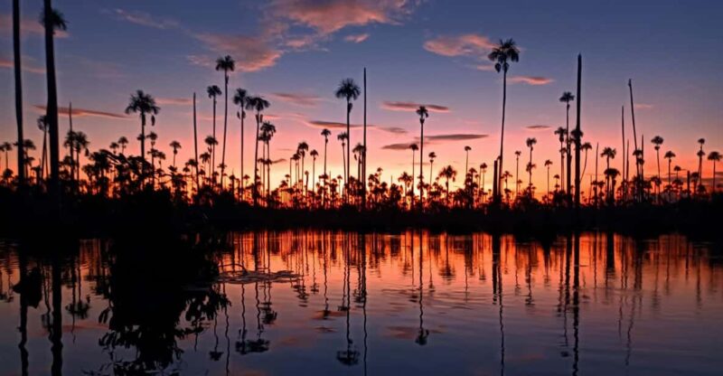 From Puerto Maldonado: 4-Day Excursion /wildlifesearch - Included Experiences