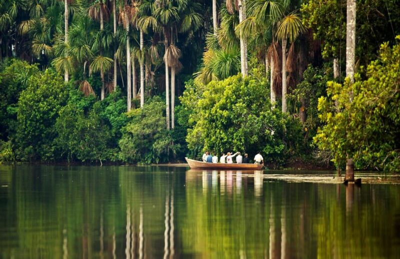 From Puerto Maldonado: 4-Day Excursion /wildlifesearch - Group and Guide Information