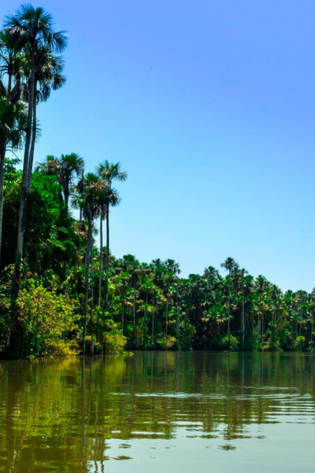 From Puerto Maldonado: 4-Day Excursion /wildlifesearch - Cancellation Policy