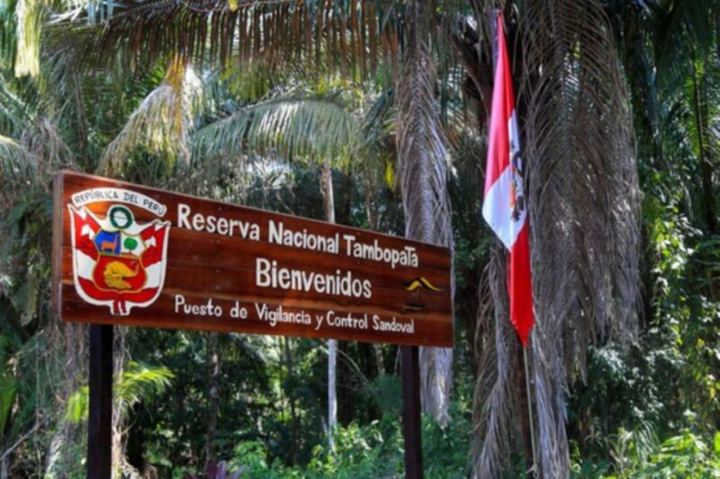 From Puerto Maldonado || Jungle Trekking + Sandoval Lake || - Key Points