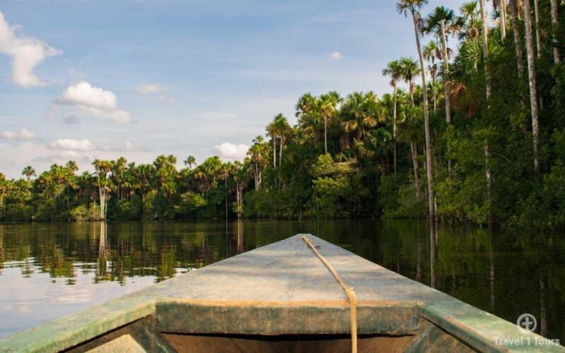 From Puerto Maldonado || Jungle Trekking + Sandoval Lake || - Itinerary Details