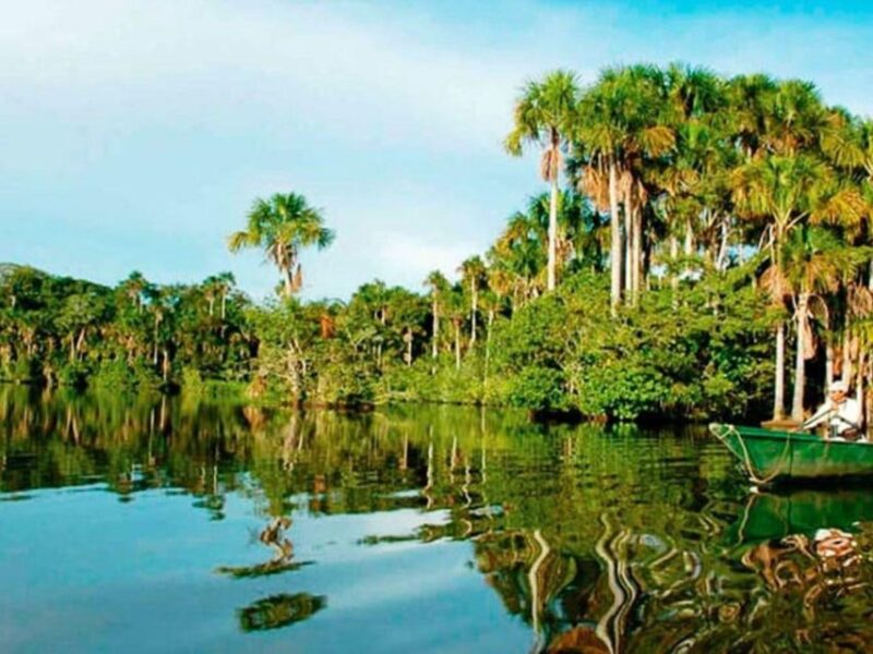 From Puerto Maldonado || Jungle Trekking + Sandoval Lake || - What to Bring