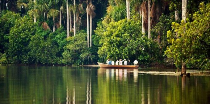 From Puerto Maldonado: Reserva Tambopata 4-Day + Zipline - Day 4: Zipline Adventure and Departure