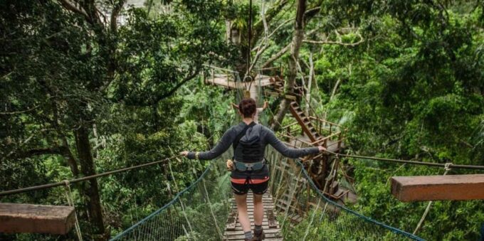 From Puerto Maldonado: Reserva Tambopata 4-Day + Zipline - Inclusions