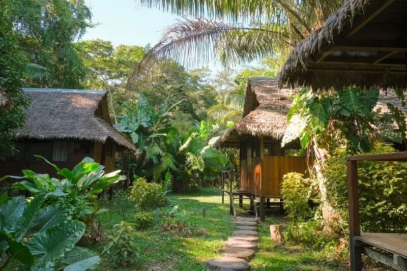 From Puerto Maldonado: Sandoval Lake + Macaw Clay Lick 4-Day - Tour Highlights