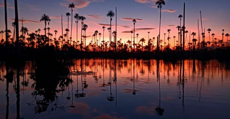 From Puerto Maldonado || Sunset Boat Ride for 3 Hours || - Itinerary Details