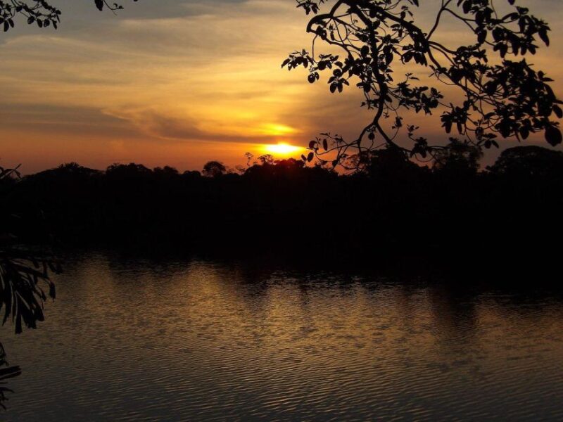 From Puerto Maldonado || Sunset Boat Ride for 3 Hours || - Guided Tour Information