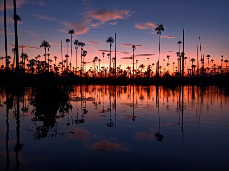From Puerto Maldonado || Sunset Boat Ride for 3 Hours || - Pickup and Drop-off Locations