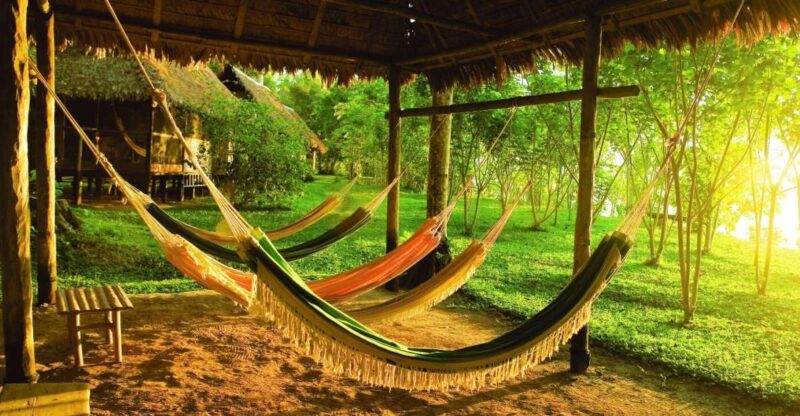 From Puerto Maldonado: Tambopata 3-Day Rainforest Tour - Tour Overview and Details