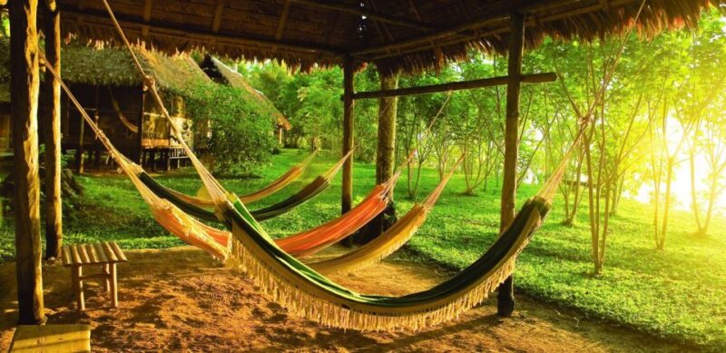 From Puerto Maldonado: Tambopata 3-Day Rainforest Tour - Itinerary Highlights