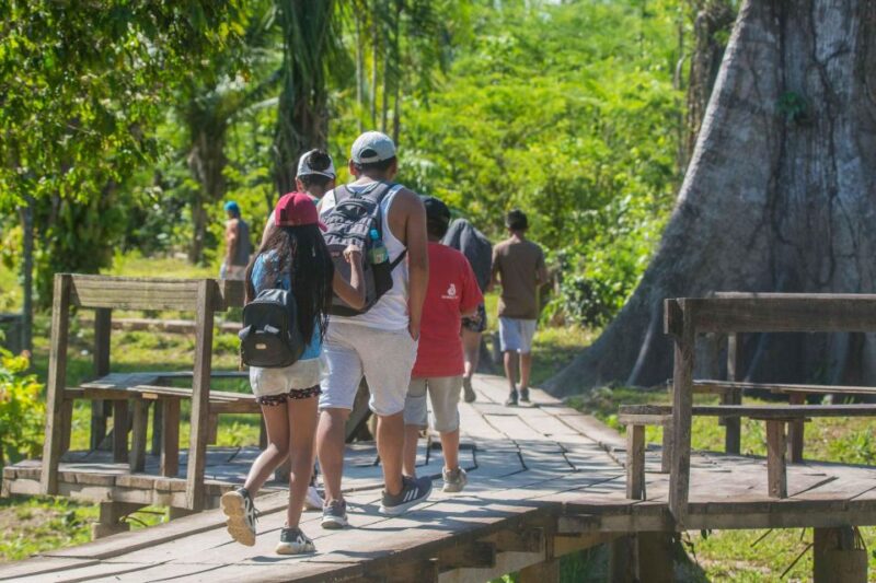 From Puerto Maldonado: Tambopata National Reserve 2-Day Tour - Day 1 Itinerary