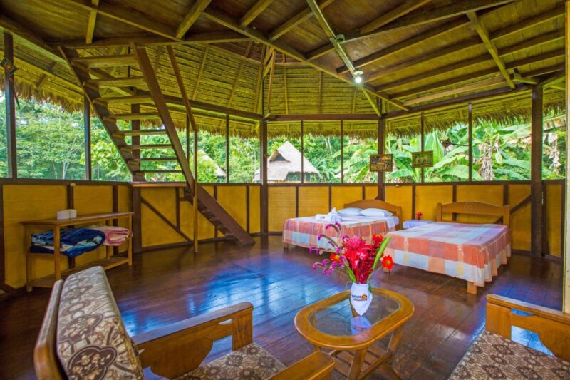 From Puerto Maldonado: Tambopata National Reserve 2-Day Tour - Day 2 Itinerary