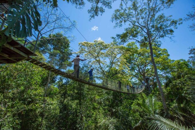 From Puerto Maldonado: Tambopata National Reserve 2-Day Tour - Important Information