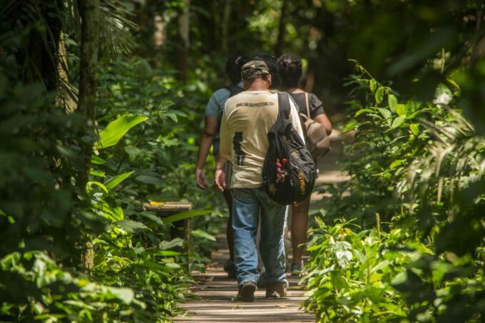 From Puerto Maldonado: Tambopata National Reserve 2-Day Tour - Frequently Asked Questions