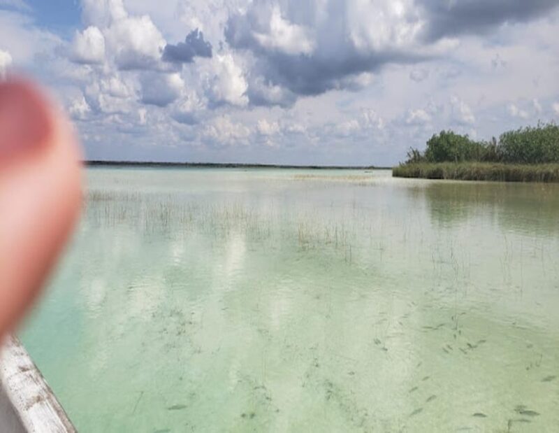 From Puerto Morelos: Lagoon Kan Luum - Lush Greenery Surroundings