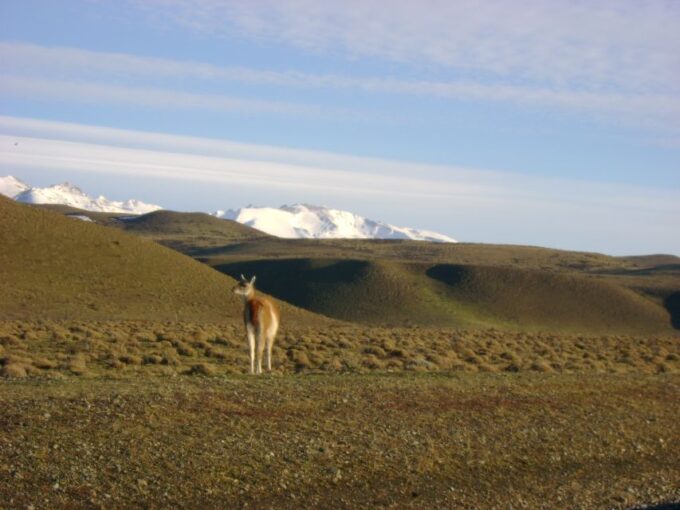 From Puerto Natales: Torres Del Paine National Park Trip - Frequently Asked Questions
