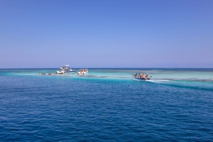 From Puerto Plata: Cayo Arena Private Catamaran Trip & Lunch - Customer Feedback