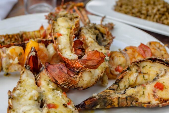 From Puerto Plata: Cayo Arena Private Catamaran Trip & Lunch - Scenic Road Trip