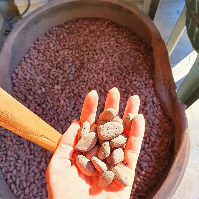 From Puerto Plata Priv: Cocoa, Coffee, Cigars & Local Market - Pickup Location and Duration