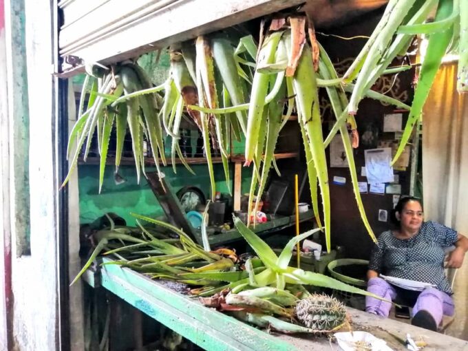 From Puerto Plata Priv: Cocoa, Coffee, Cigars & Local Market - Recap