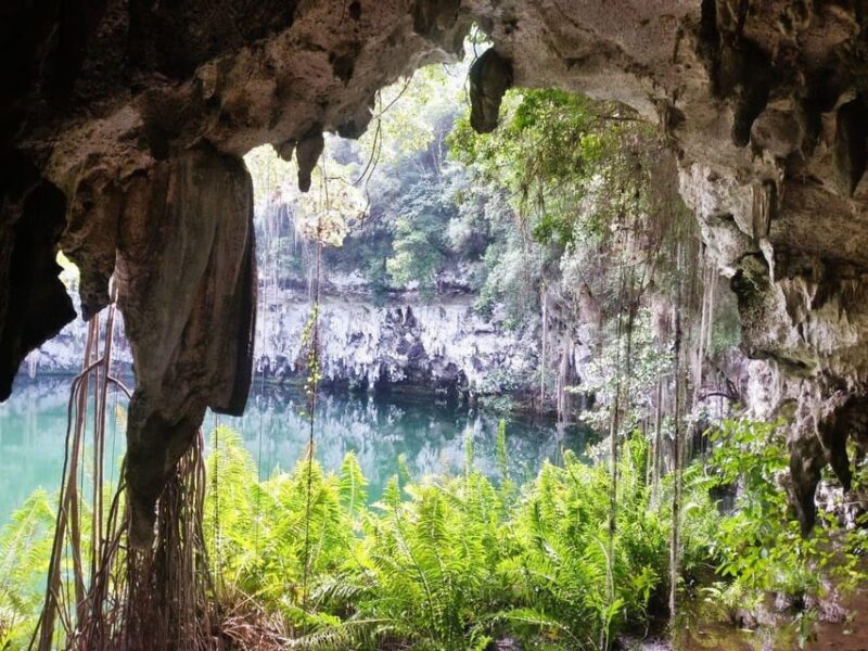 From Puerto Plata: Santo Domingo + Saona Island (2 Days) - Itinerary Details