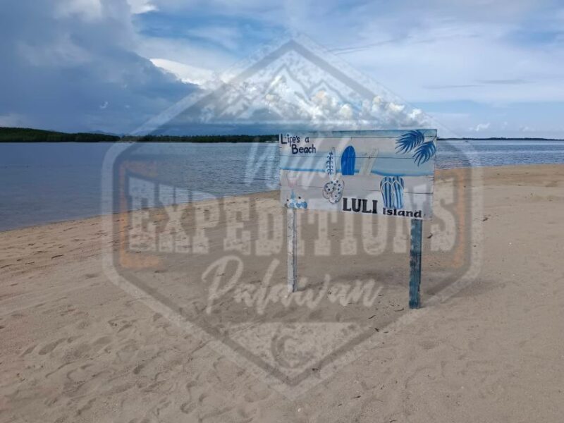 From Puerto Princesa: Honda Bay Island Hopping Full-Day Tour - Itinerary Breakdown