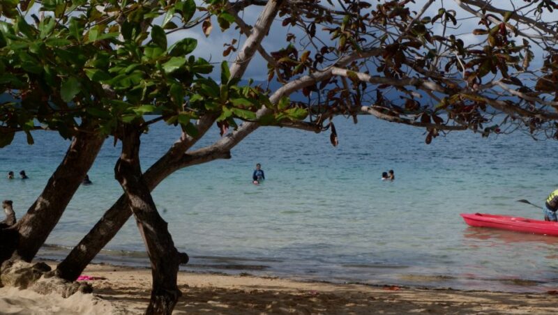 From Puerto Princesa: Honda Bay Island Hopping Full-Day Tour - Participant Requirements