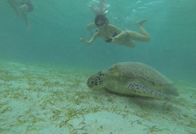 From Puerto Princesa: Port Barton Island Hopping Day Trip - Departure and Return Details