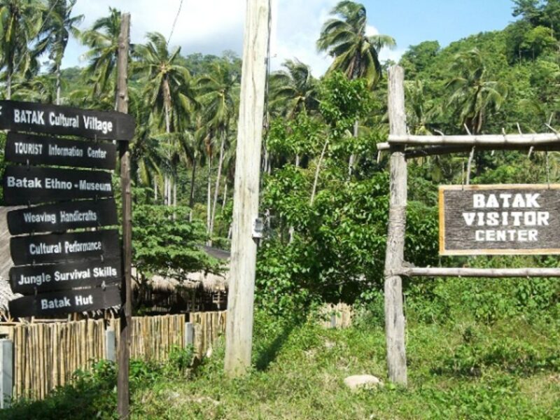 From Puerto Princesa: Trek to Batak Tribe Village - Inclusions and Cost