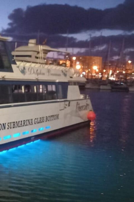 From Puerto Rico: Boat Party Along the Coast. - Additional Activities