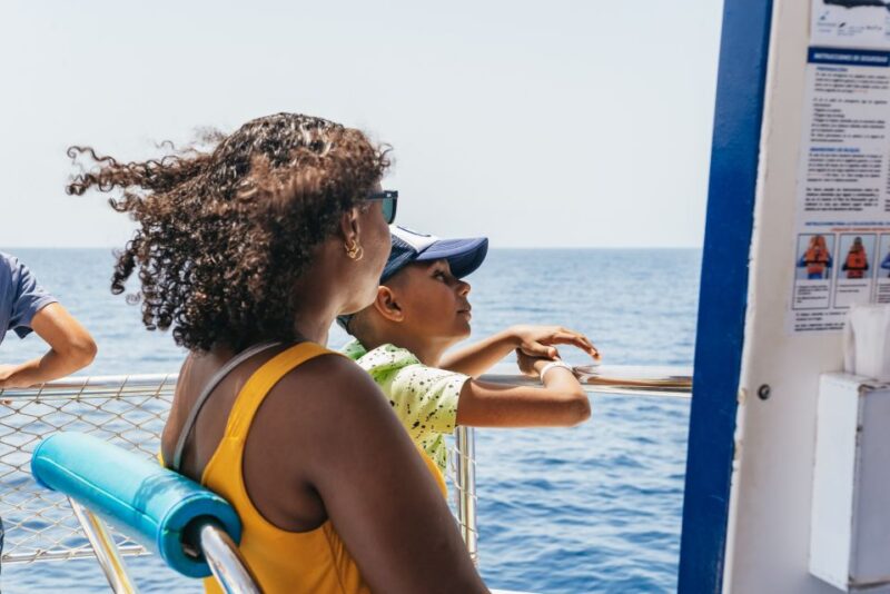 From Puerto Rico De Gran Canaria: Dolphin Watching Cruise - Customer Feedback and Ratings