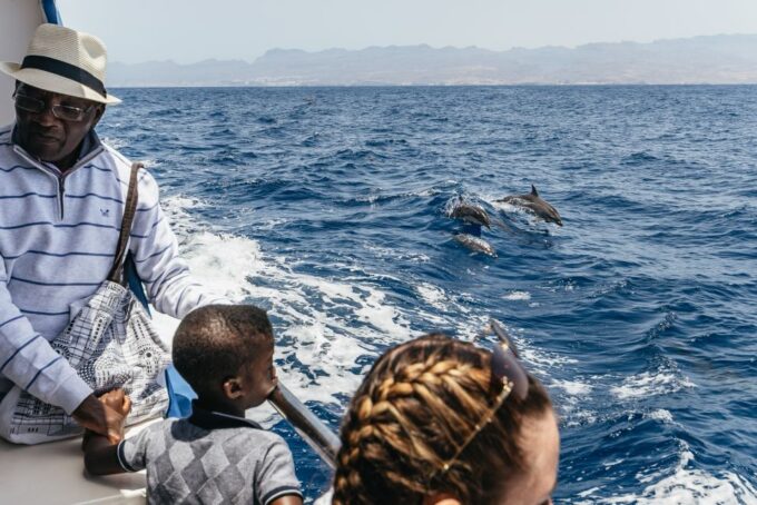 From Puerto Rico De Gran Canaria: Dolphin Watching Cruise - Booking and Cancellation Policy