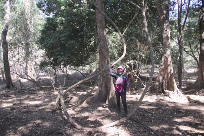 From Puerto Vallarta: 2-Hour Guided Sierra Vallejo Hike - What to Bring