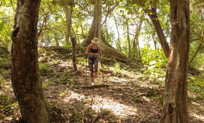 From Puerto Vallarta: 2-Hour Guided Sierra Vallejo Hike - Frequently Asked Questions