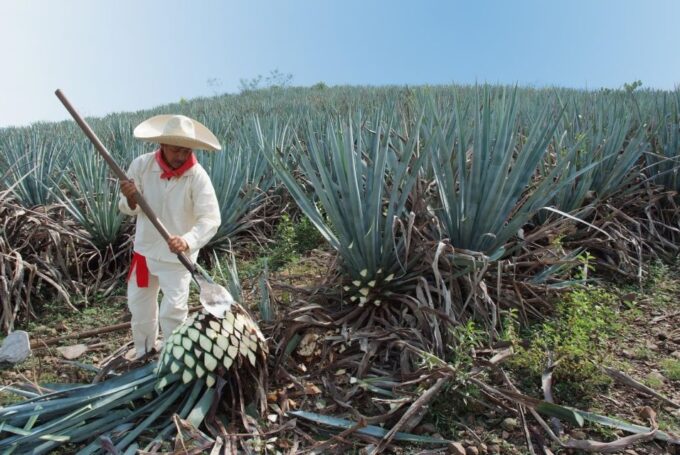From Puerto Vallarta: Full-Day Tour to San Sebastian - Explore San Sebastian