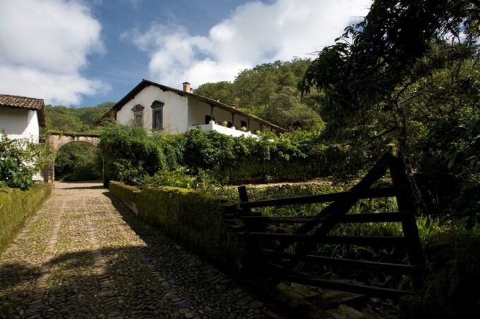 From Puerto Vallarta: Full-Day Tour to San Sebastian - Tour a Coffee Hacienda