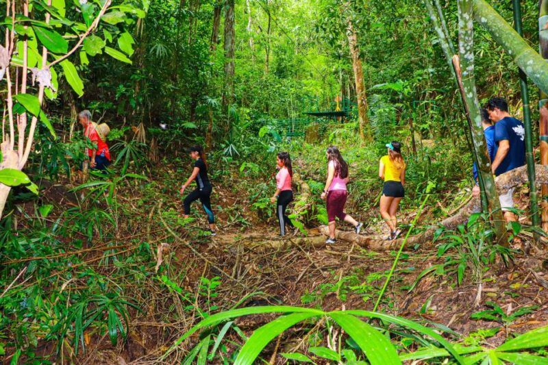 From Puerto Vallarta: Hiking to Vallarta Botanical Garden - Inclusions