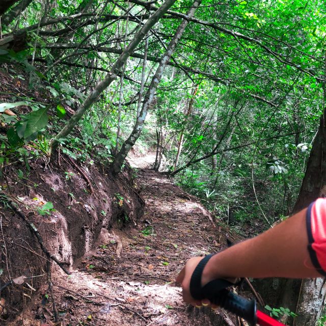 From Puerto Vallarta: Hiking to Vallarta Botanical Garden - Customer Feedback