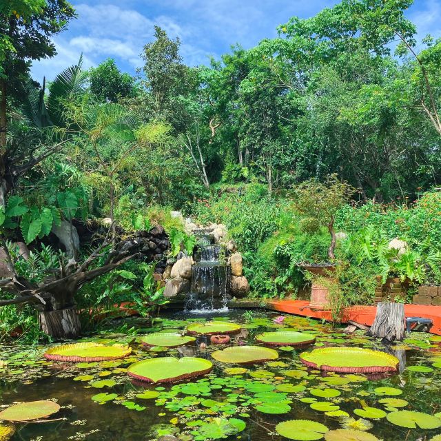 From Puerto Vallarta: Hiking to Vallarta Botanical Garden - Trail Difficulty