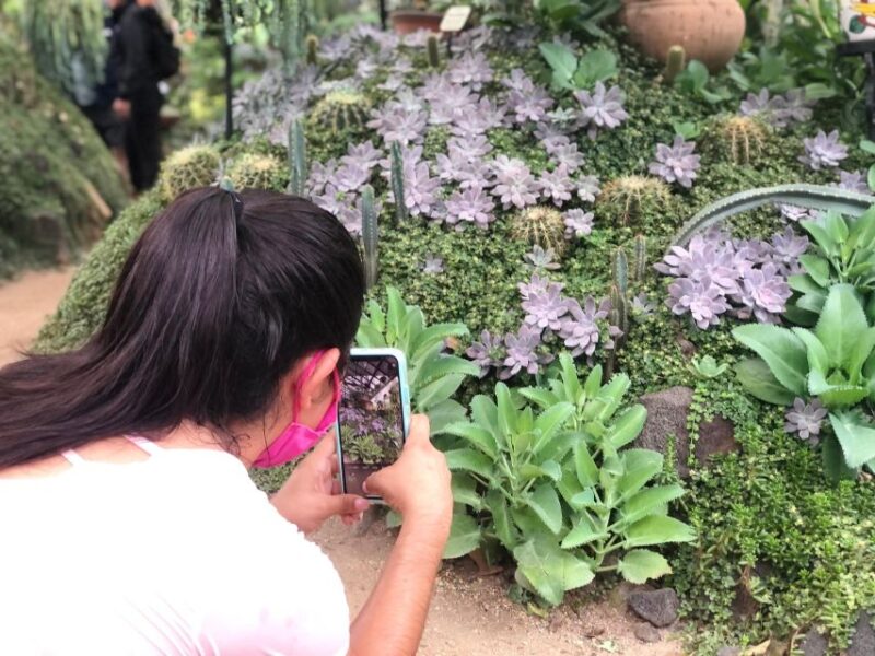 From Puerto Vallarta: Hiking to Vallarta Botanical Garden - Getting There