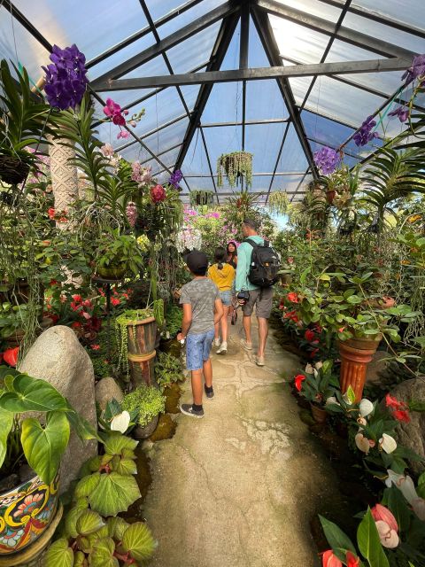 From Puerto Vallarta: Hiking to Vallarta Botanical Garden - Frequently Asked Questions