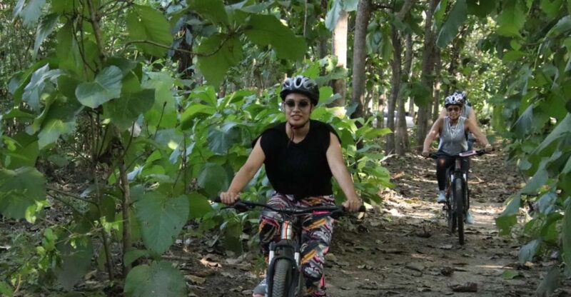 From Puerto Vallarta: Jungle Mountain Bike Tour - Key Points