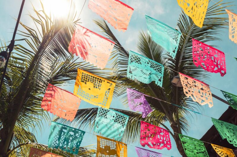 From Puerto Vallarta: San Pancho and Sayulita - Inclusions