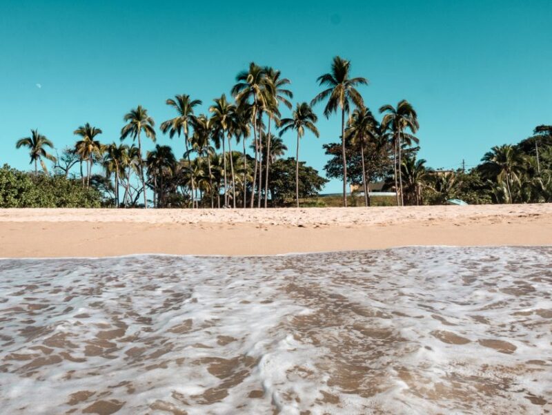 From Puerto Vallarta: San Pancho and Sayulita - Preparation and Requirements