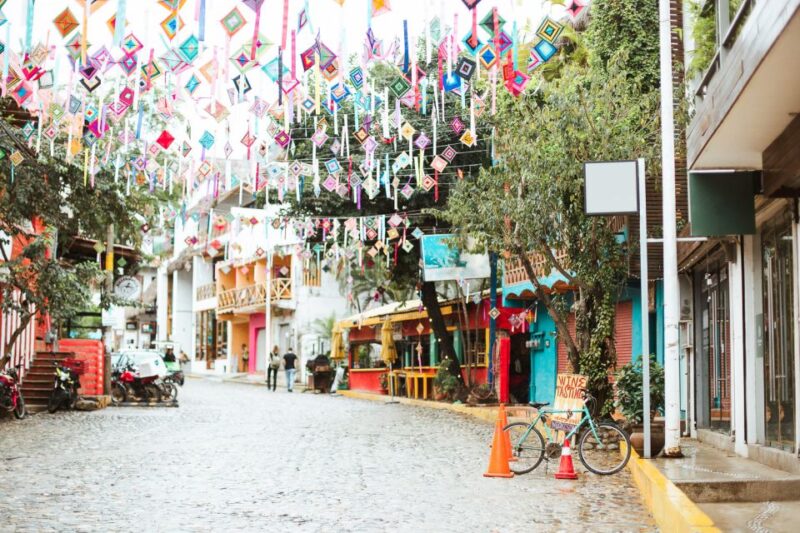 From Puerto Vallarta: San Pancho and Sayulita - Customer Feedback